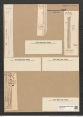 Clavicula polymorpha var. delicatula Pant. (de-Toni-Nr.: Genus 75, Species 2800) Zeichnungen Sammlung Grunow Nr. 5752 (NHMW-BOT-W0374141)